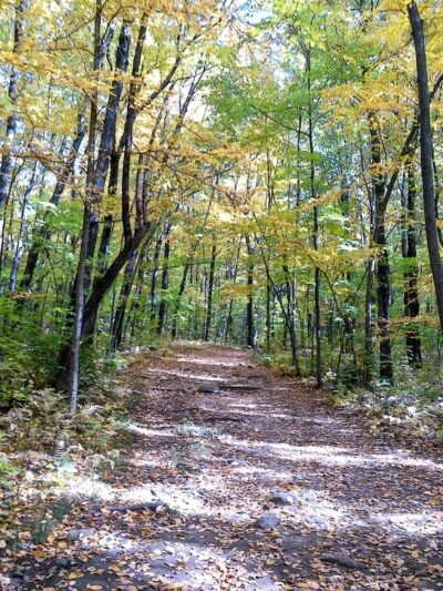 Peaked Mountain Reservation - Monson, MA