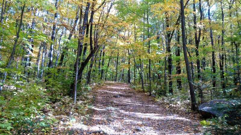 Peaked Mountain Reservation - Monson, MA