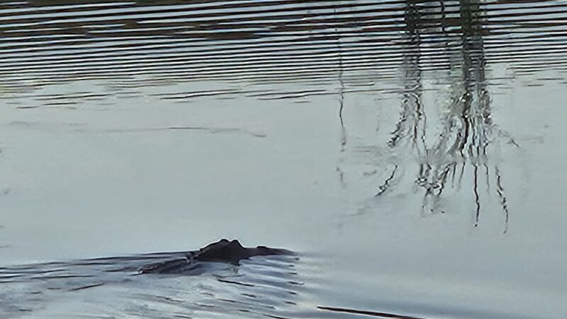 Hackberry Gully Regional Park - Mont Belvieu, TX