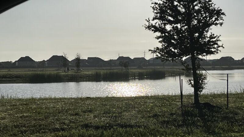 Hackberry Gully Regional Park - Mont Belvieu, TX