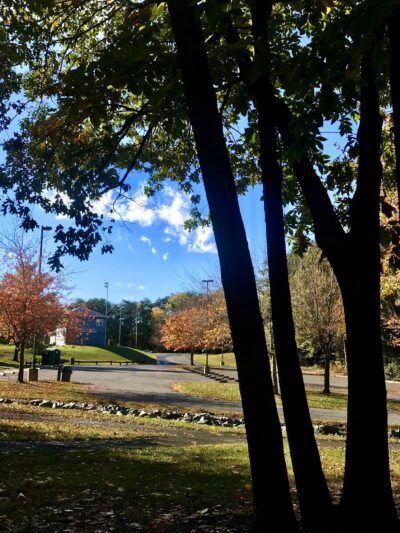 Moncure Park - Montclair, VA