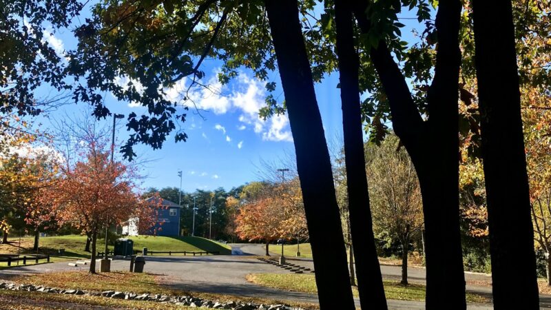 Moncure Park - Montclair, VA