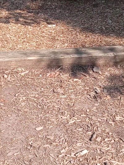 Moncure Park - Montclair, VA