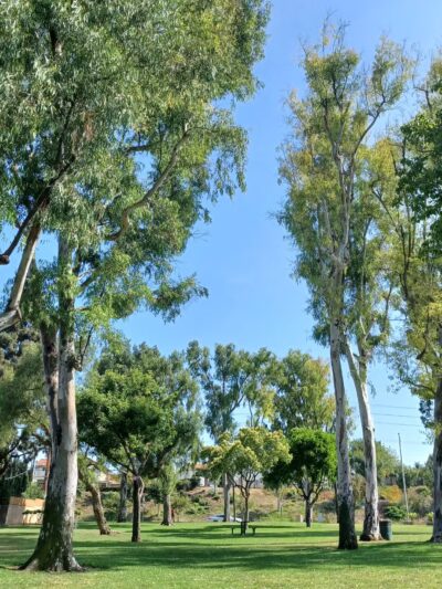 Acuna Park - Montebello, CA