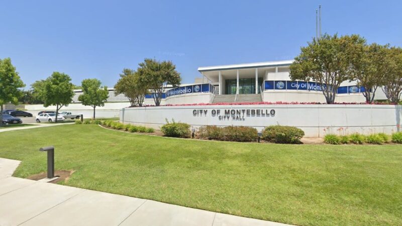 Dog License - Montebello, CA