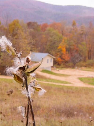 4 Mile Rock Meadows RV Camping - Montebello, VA