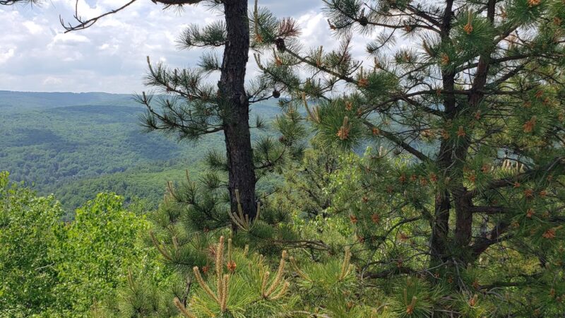 Shatterack Mountain Trailhead - Montgomery, MA
