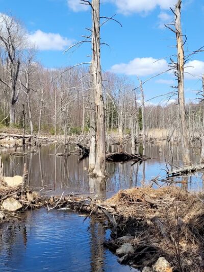 Westfield Reservoir - Montgomery, MA