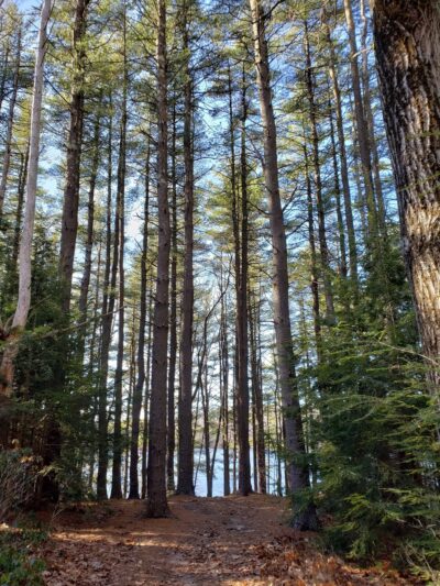 Westfield Reservoir - Montgomery, MA