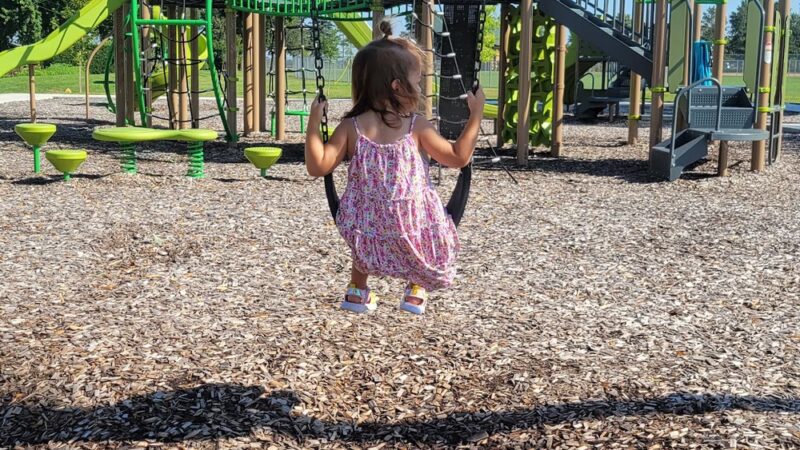 Carol Lilla Fields - Montgomery, MN