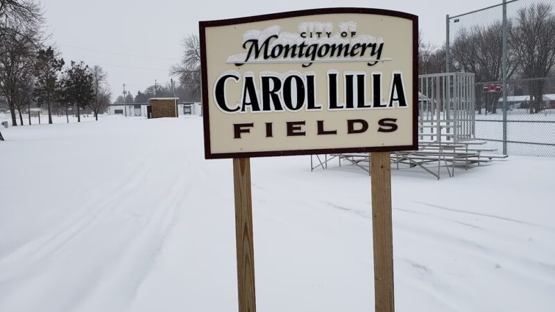 Carol Lilla Fields - Montgomery, MN