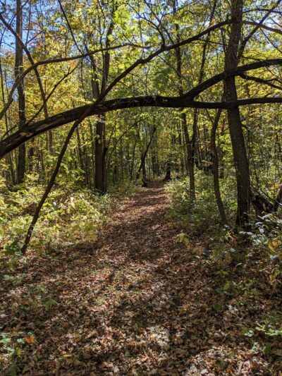 Richter Woods County Park - Montgomery, MN