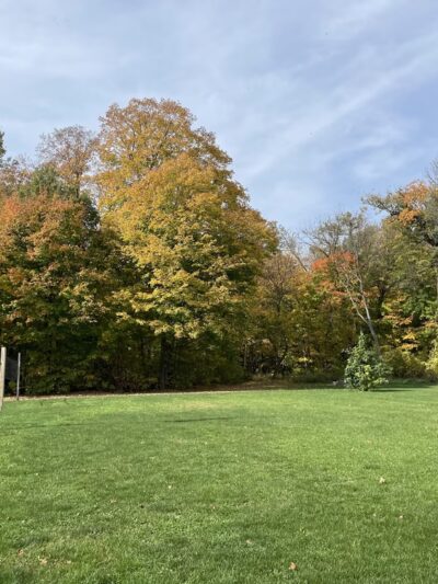 Richter Woods County Park - Montgomery, MN