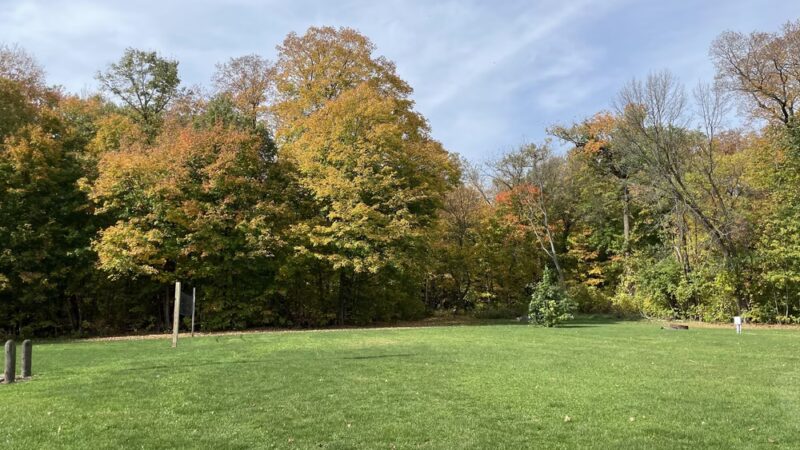 Richter Woods County Park - Montgomery, MN