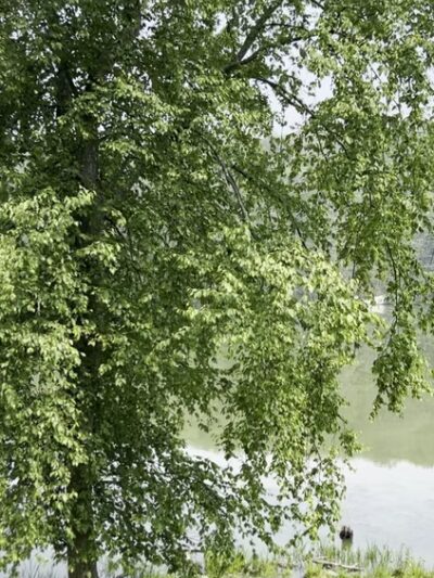 Winding Hills Park - Montgomery, NY