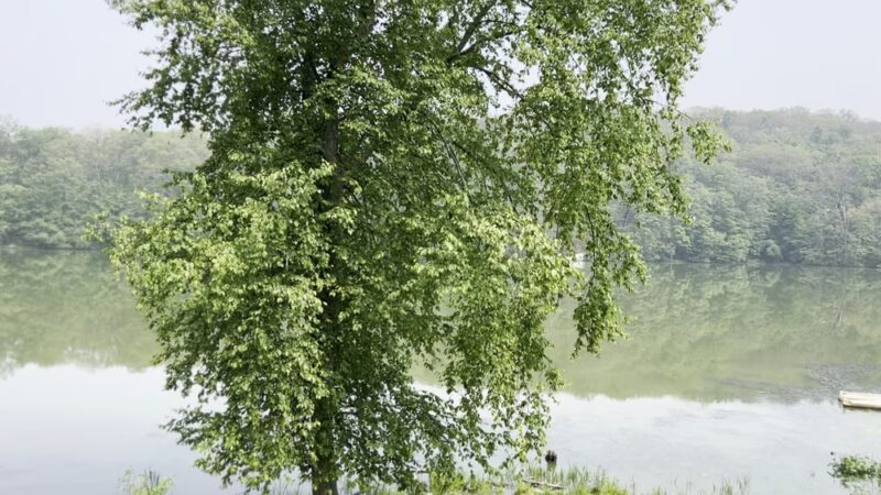 Winding Hills Park - Montgomery, NY