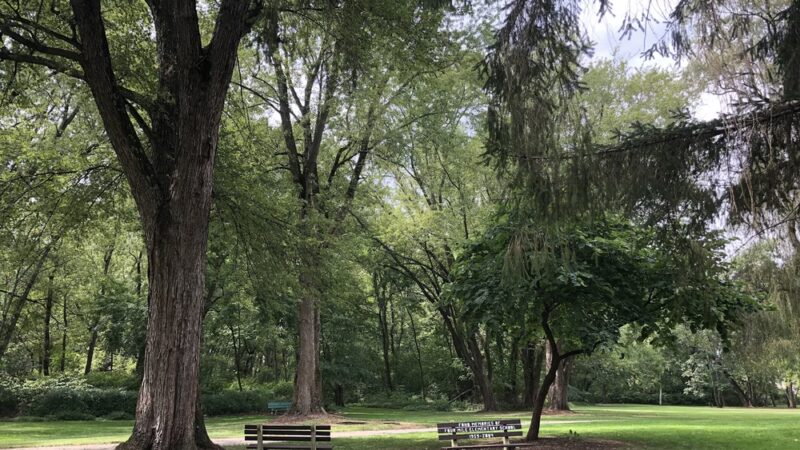 Canfield Island Heritage Trail Park - Montoursville, PA