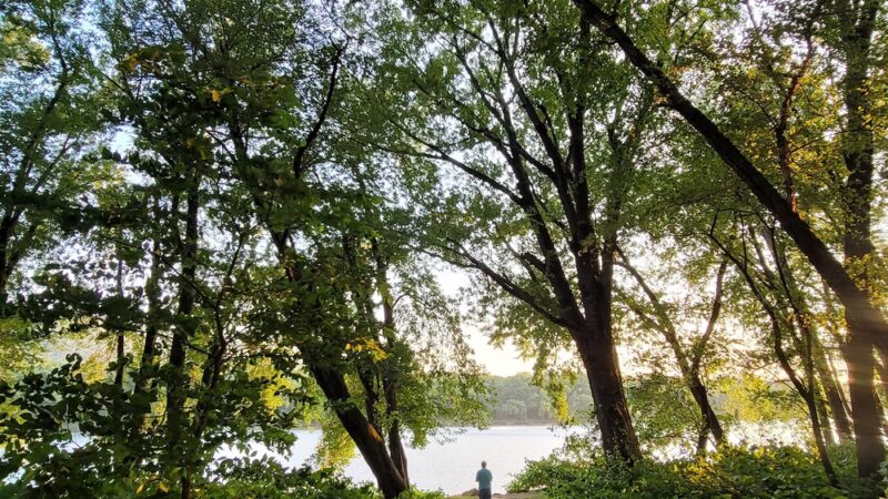 Canfield Island Heritage Trail Park - Montoursville, PA