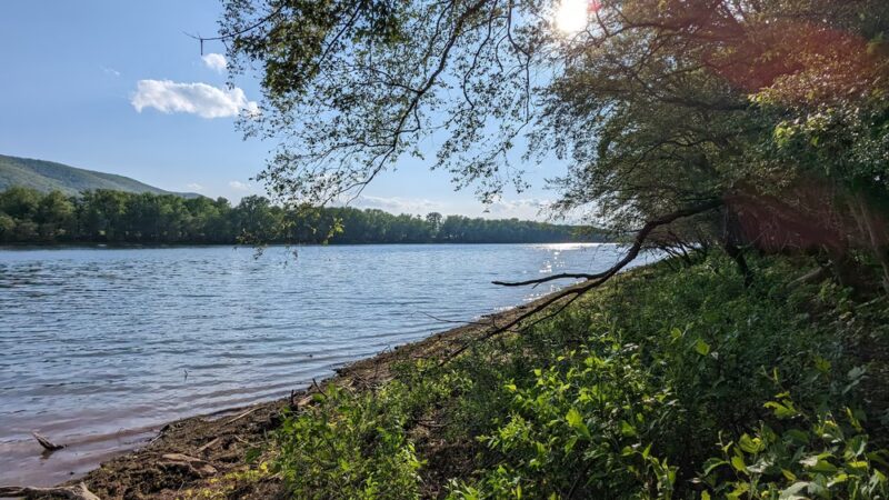 Canfield Island Heritage Trail Park - Montoursville, PA