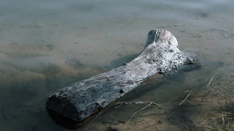 River Front Park - Montoursville, PA