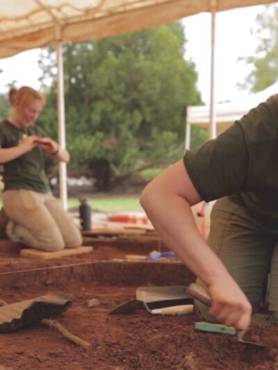 James Madison's Montpelier - Montpelier Station, VA