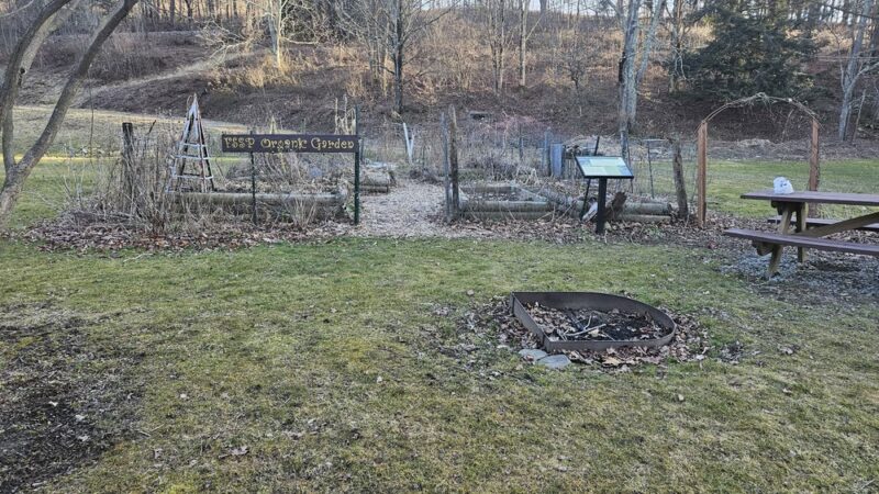 Lower Falls - Montrose, PA