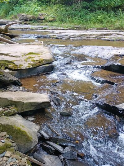 Lower Falls - Montrose, PA