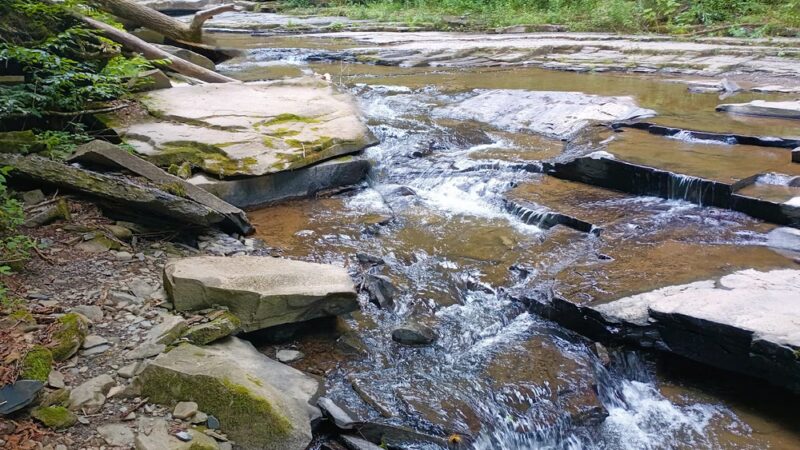 Lower Falls - Montrose, PA