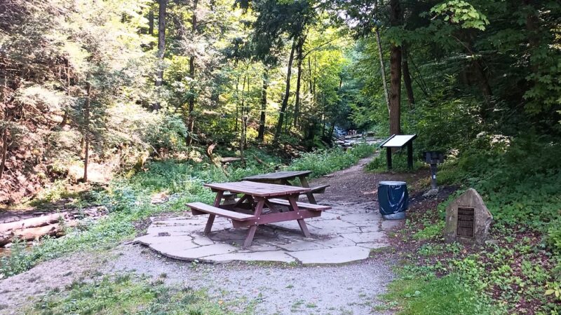 Lower Falls - Montrose, PA