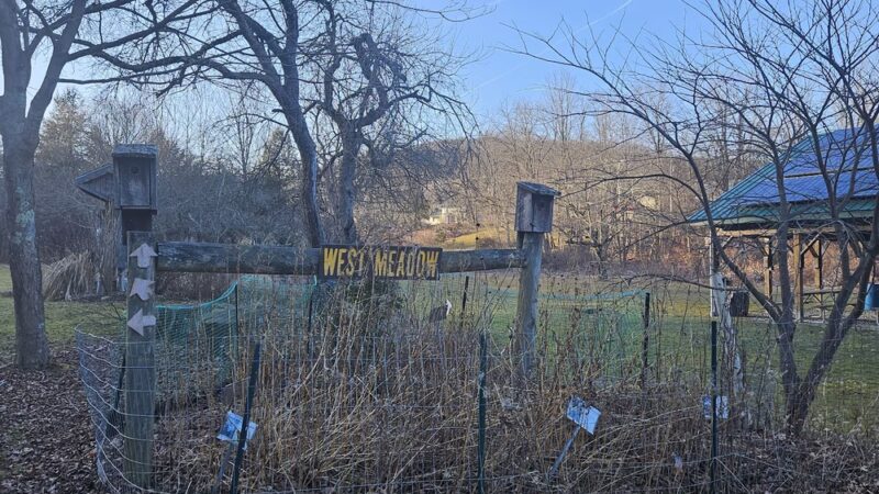 Lower Falls - Montrose, PA