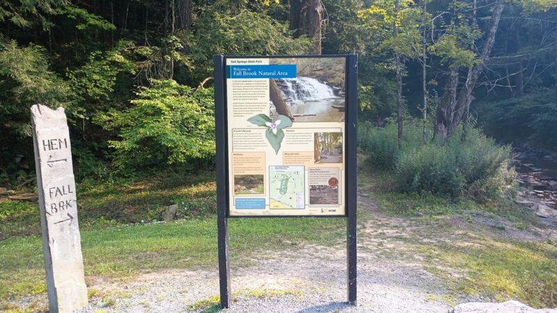 Lower Falls - Montrose, PA