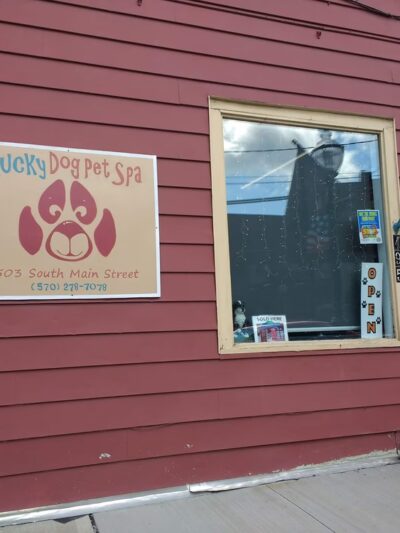 Lucky Dog Grooming and Pet Supply - Montrose, PA