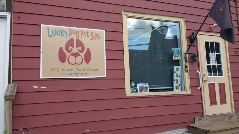Lucky Dog Grooming and Pet Supply - Montrose, PA
