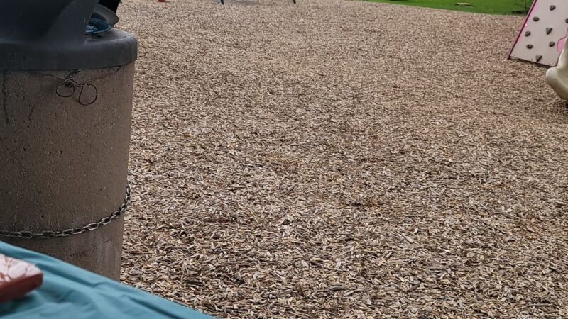 Montrose Park - Montrose, PA