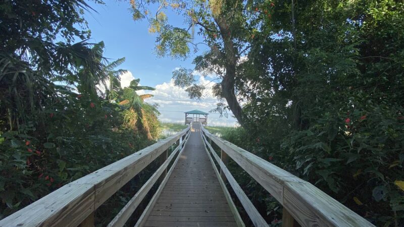 Truskett Park - Montverde, FL