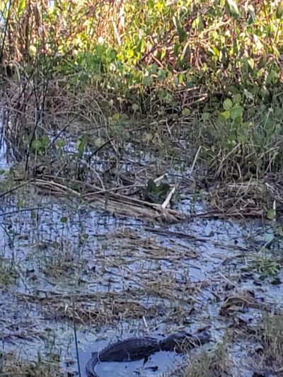 Truskett Park - Montverde, FL