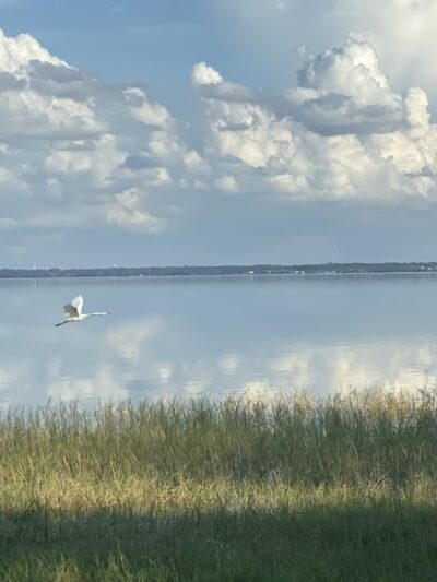 Truskett Park - Montverde, FL