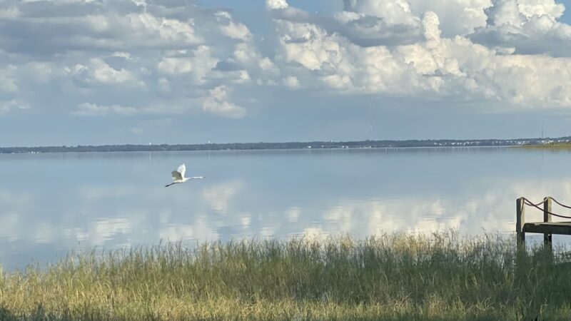 Truskett Park - Montverde, FL