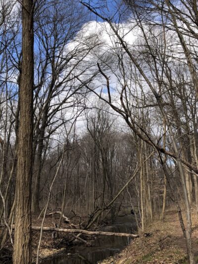 Pompeston Creek - Moorestown, NJ