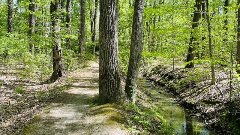 Pompeston Creek - Moorestown, NJ