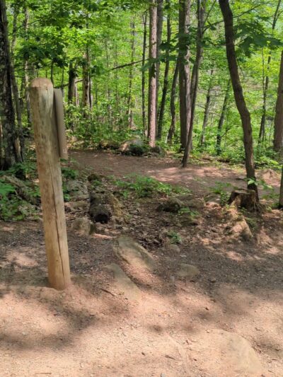 Moose Lake State Park - Moose Lake, MN