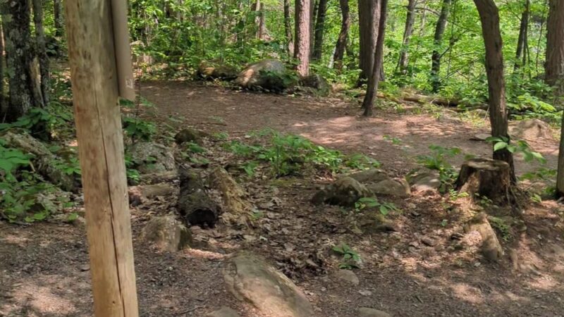 Moose Lake State Park - Moose Lake, MN