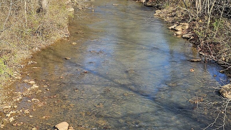 Morgantown Park & Recreation - Morgantown, WV