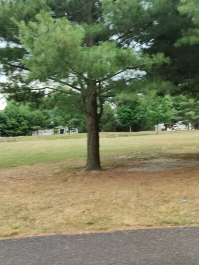 Falson Park - Morganville, NJ