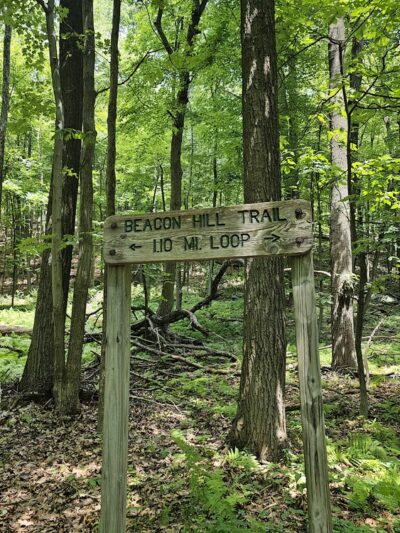 Mountain Way - Morris Plains, NJ