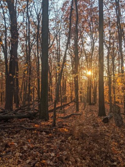 Mountain Way - Morris Plains, NJ