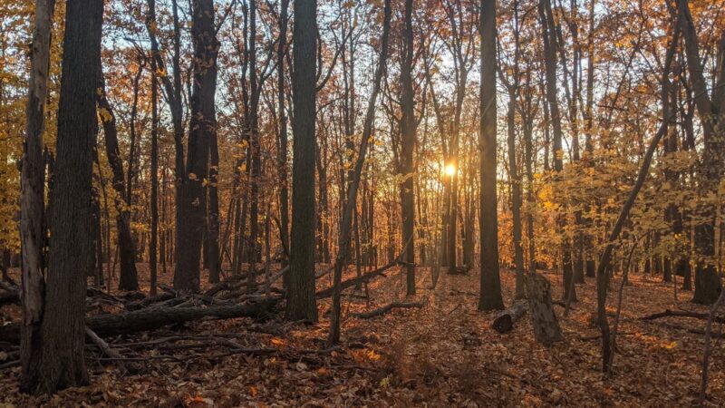Mountain Way - Morris Plains, NJ