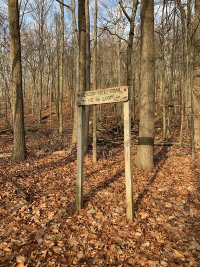 Mountain Way - Morris Plains, NJ