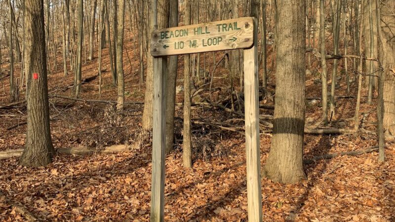 Mountain Way - Morris Plains, NJ