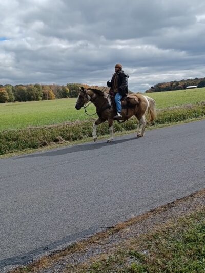 Big Run Park - Morrisdale, PA